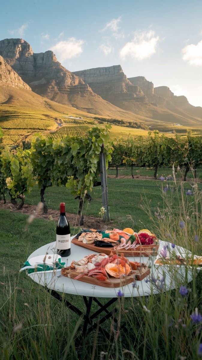 Cape Winelands vineyards and mountain scenery